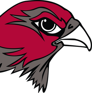 Team Page: Stevens High School